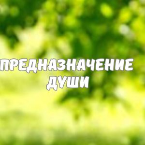 ПРЕДНАЗНАЧЕНИЕ ДУШИ