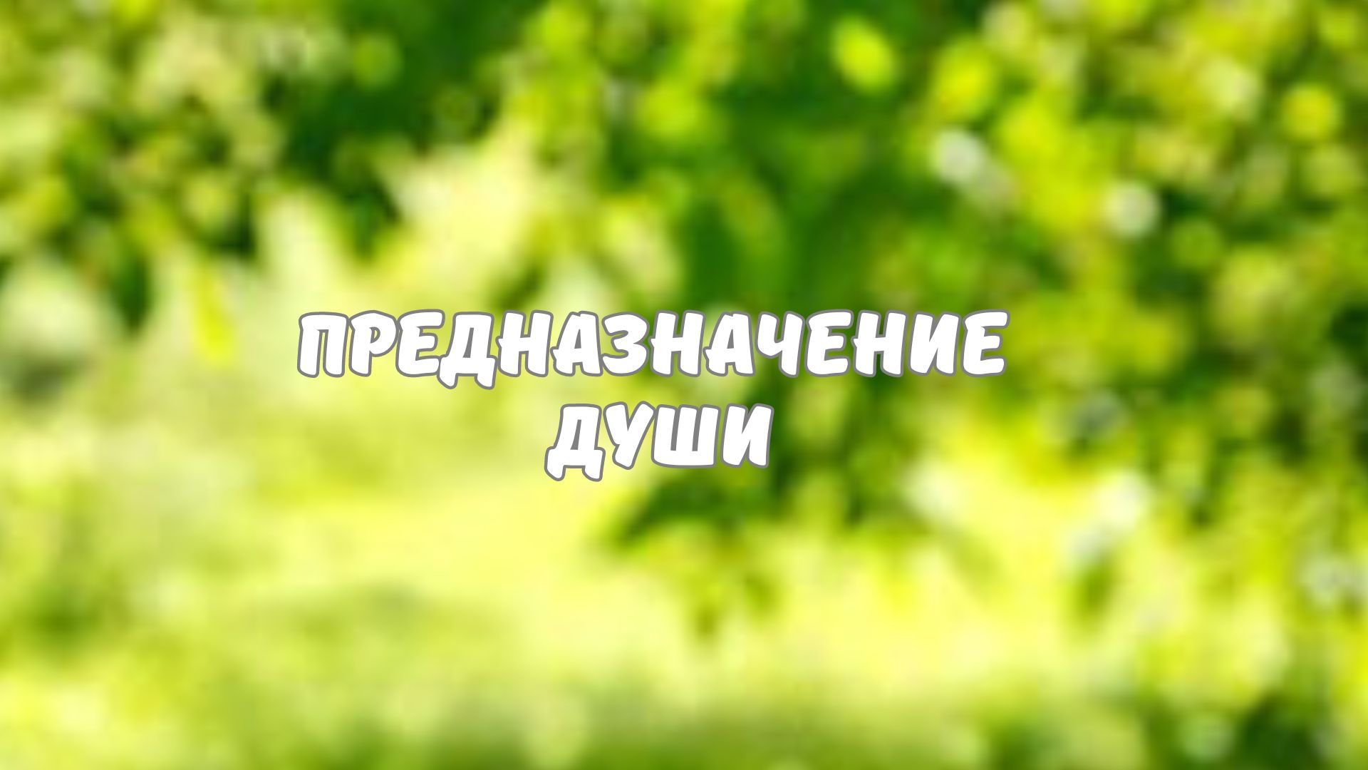 ПРЕДНАЗНАЧЕНИЕ ДУШИ