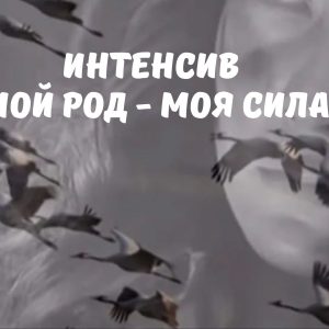 Интенсив "Мой род - моя сила"