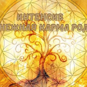Интенсив "Денежная карма рода"
