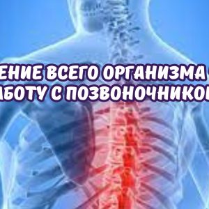 Исцеление всего организма через работу с позвоночником