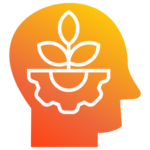 Энергетические практики